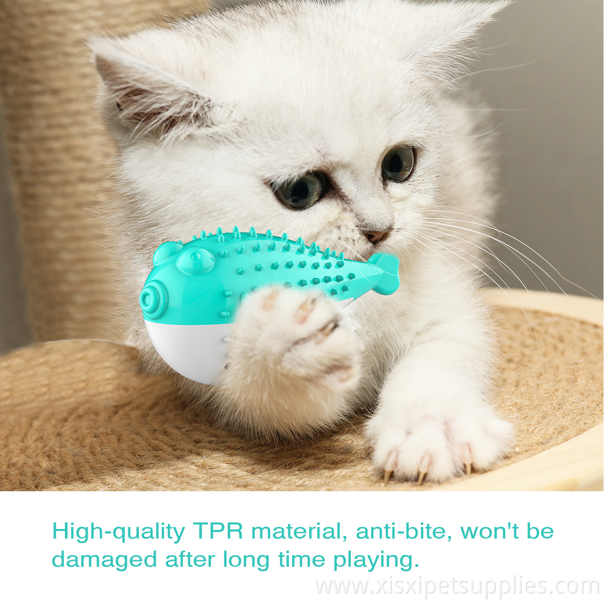 Pet Suppliers Customized Luxury Eco Pet Cat Toothbrush Toy